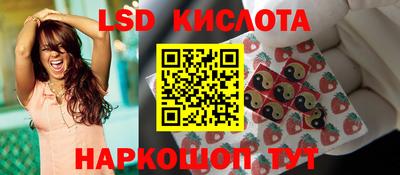шишки Изобильный