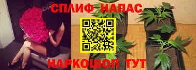 гидропоника Ирбит