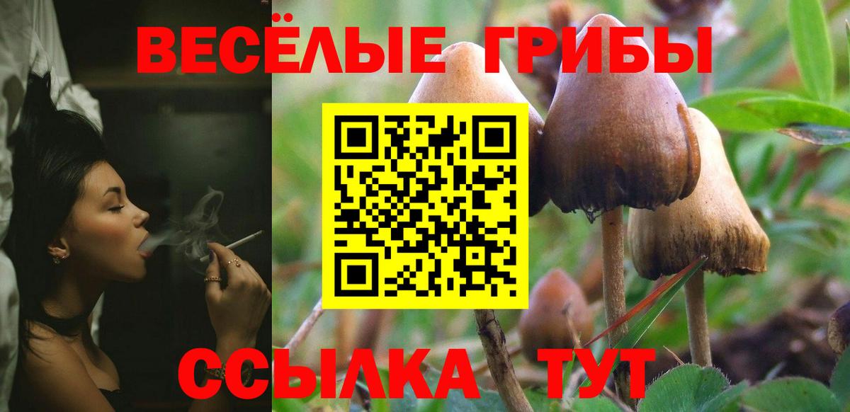 Псилоцибиновые грибы мицелий  Вход с VPN  Псилоцибиновые грибы Magic Shrooms  Красный Сулин 